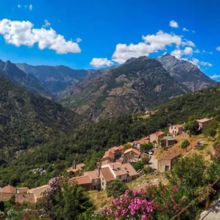 Magnifique Grand 30m2 Refait A Neuf En 2025 Lumineux 4 Couchages Hyper Centre 13 Cours Paoli Wifi Tv Lave Linge