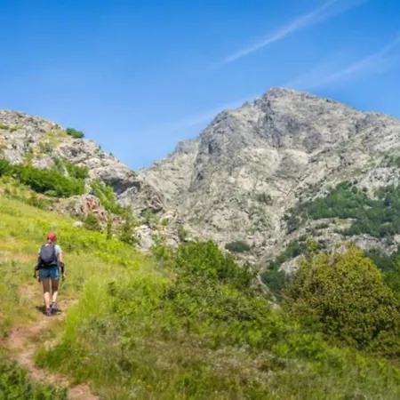 Magnifique Grand 30m2 Refait A Neuf En 2025 Lumineux 4 Couchages Hyper Centre 13 Cours Paoli Wifi Tv Lave Linge *