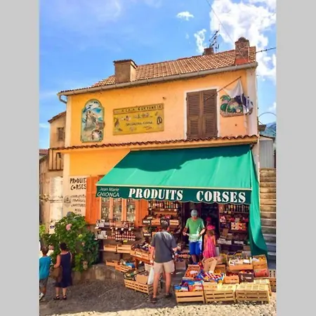 Magnifique Grand 30m2 Refait A Neuf En 2025 Lumineux 4 Couchages Hyper Centre 13 Cours Paoli Wifi Tv Lave Linge Corte (Corsica)