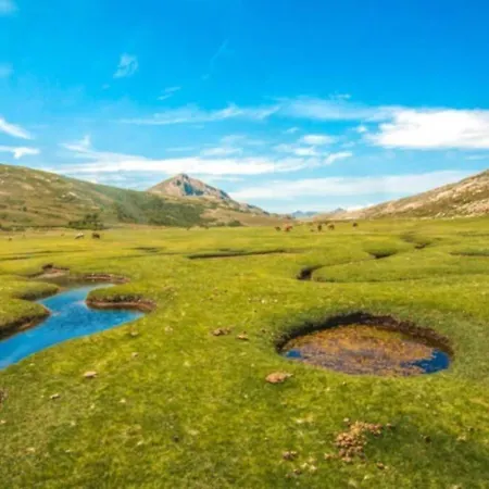 Lejlighed Magnifique Grand 30m2 Refait A Neuf En 2025 Lumineux 4 Couchages Hyper Centre 13 Cours Paoli Wifi Tv Lave Linge *