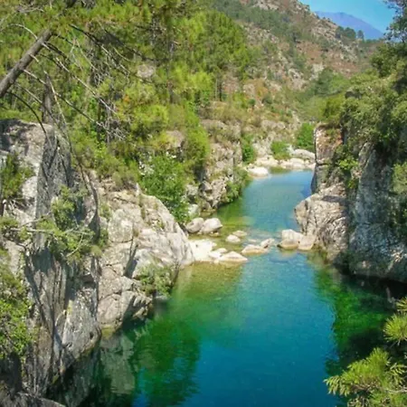 Magnifique Grand 30m2 Refait A Neuf En 2025 Lumineux 4 Couchages Hyper Centre 13 Cours Paoli Wifi Tv Lave Linge *