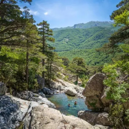 Lägenhet Magnifique Grand 30m2 Refait A Neuf En 2025 Lumineux 4 Couchages Hyper Centre 13 Cours Paoli Wifi Tv Lave Linge Corte (Corsica)