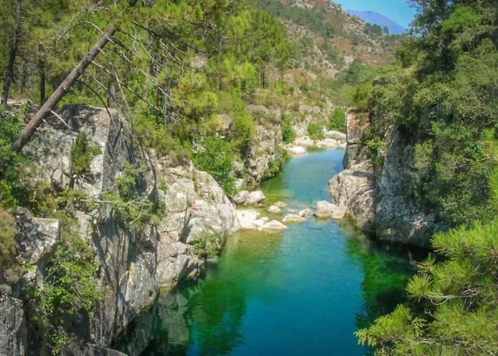 Magnifique Grand 30m2 Refait A Neuf En 2025 Lumineux 4 Couchages Hyper Centre 13 Cours Paoli Wifi Tv Lave Linge *