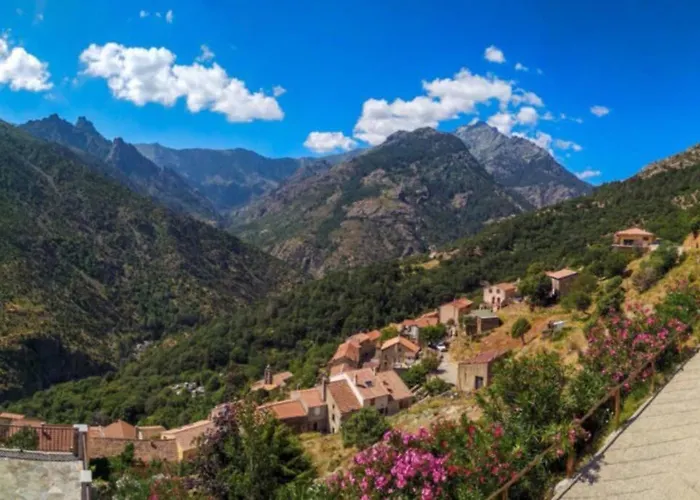 Magnifique Grand 30m2 Refait A Neuf En 2025 Lumineux 4 Couchages Hyper Centre 13 Cours Paoli Wifi Tv Lave Linge