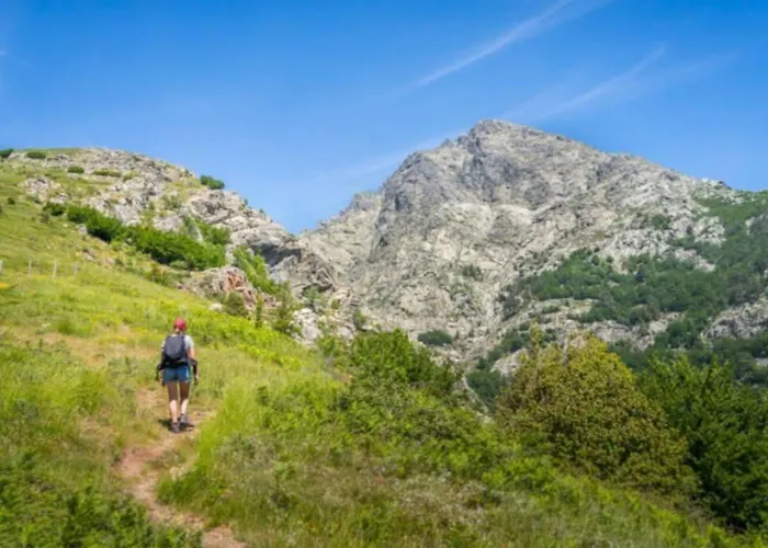 Magnifique Grand 30m2 Refait A Neuf En 2025 Lumineux 4 Couchages Hyper Centre 13 Cours Paoli Wifi Tv Lave Linge *