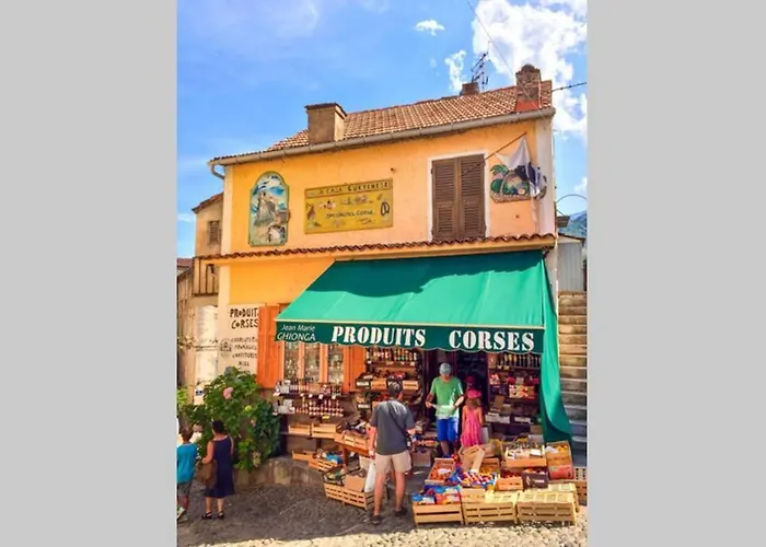 Magnifique Grand 30m2 Refait A Neuf En 2025 Lumineux 4 Couchages Hyper Centre 13 Cours Paoli Wifi Tv Lave Linge Corte (Corsica)