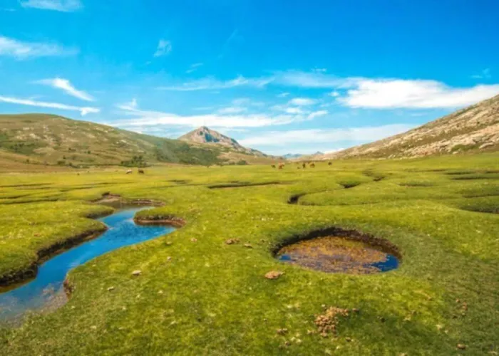 Apartment Magnifique Grand 30m2 Refait A Neuf En 2025 Lumineux 4 Couchages Hyper Centre 13 Cours Paoli Wifi Tv Lave Linge *